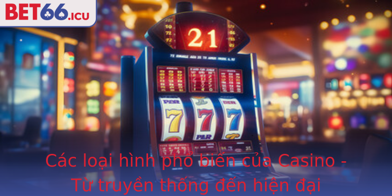 Các loại hình phổ biến của Casino - Từ truyền thống đến hiện đại