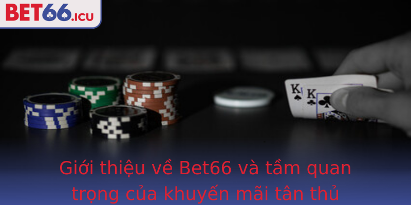 Giới thiệu về Bet66 và tầm quan trọng của khuyến mãi tân thủ