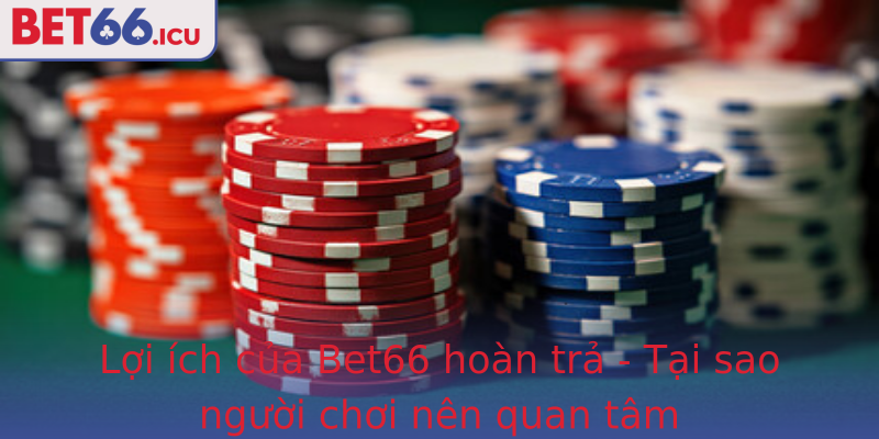 Lợi ích của Bet66 hoàn trả - Tại sao người chơi nên quan tâm