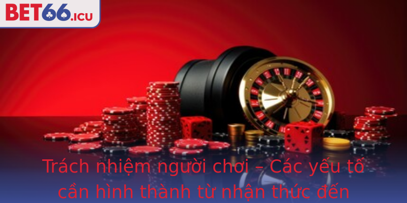 Trách nhiệm người chơi – Các yếu tố cần hình thành từ nhận thức đến hành động thực tiễn